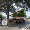 Liderando el Mtto. Silvicultural en las Carreteras de Cundinamarca